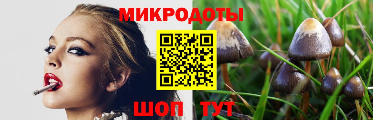 Галлюциногенные грибы MAGIC MUSHROOMS  Вход с VPN  Грязи 